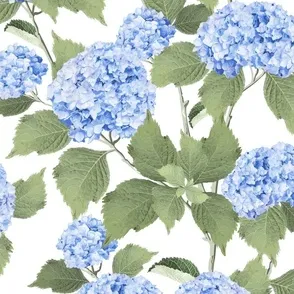 Hydrangea, Hydrangeas, textile design, surface pattern design