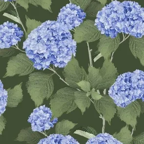 Hydrangea, Hydrangeas, textile design, surface pattern design
