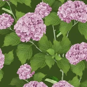 Hydrangea, Hydrangeas, textile design, surface pattern design