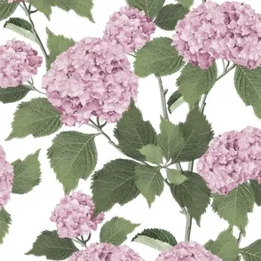 Hydrangea, Hydrangeas, textile design, surface pattern design