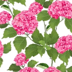 Hydrangea, Hydrangeas, textile design, surface pattern design